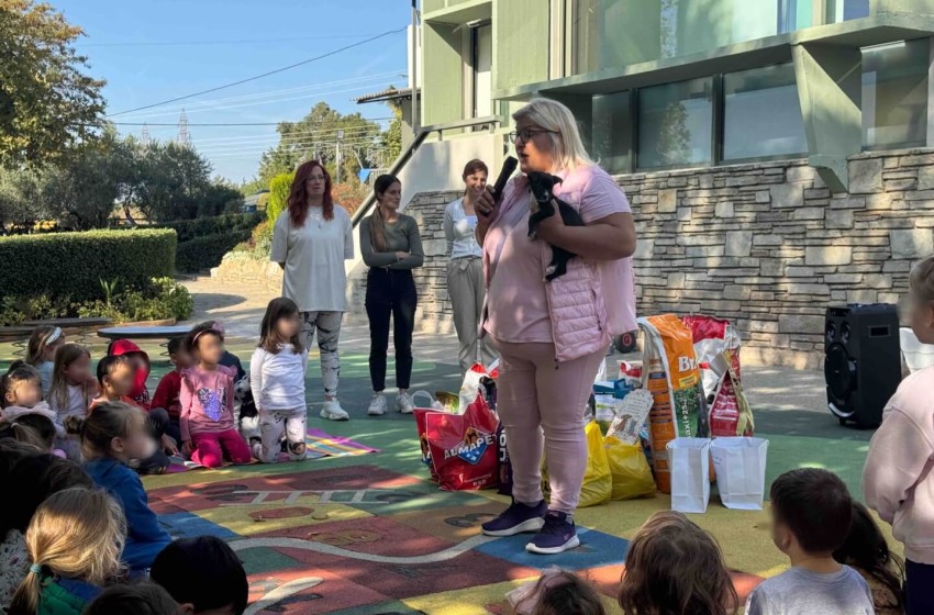 «Ιστορίες με ουρές Γνωρίζοντας τα αδέσποτα ζώα»